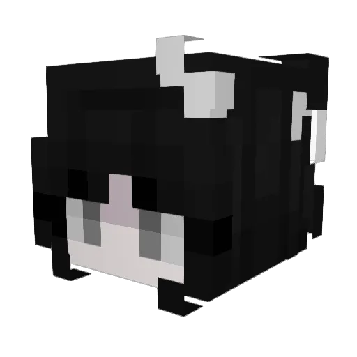 nnntt_ Minecraft avatar head, 3D render
