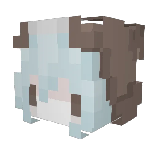 nnoctuary Minecraft avatar head, 3D render