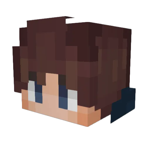 nnorth_199 Minecraft avatar head, 3D render