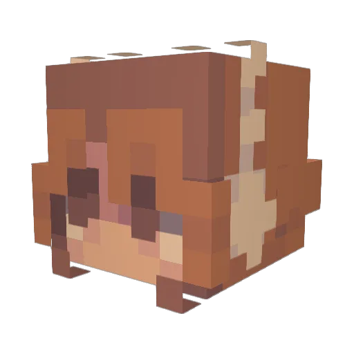 nnotorise Minecraft avatar head, 3D render
