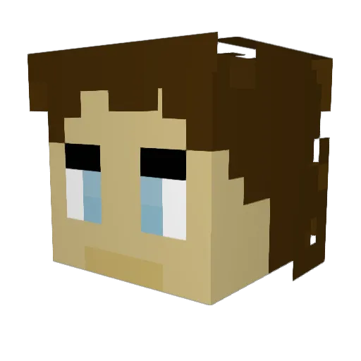 nnxBLANKxnn Minecraft avatar head, 3D render