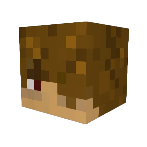 nnyco Minecraft avatar head, 3D render