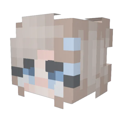 no0bplayer09 Minecraft avatar head, 3D render