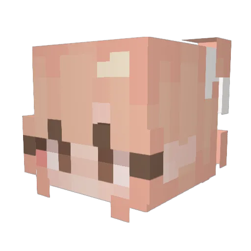 no0d1ez Minecraft avatar head, 3D render