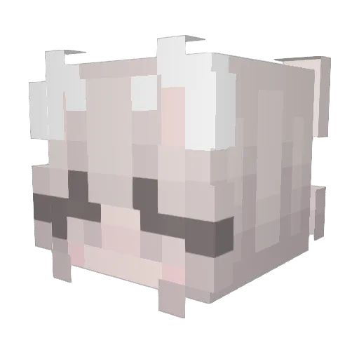 no4h_1106 Minecraft avatar head, 3D render