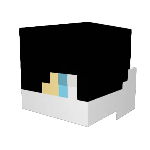 noGravity_ Minecraft avatar head, 3D render