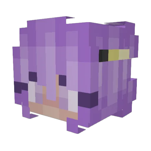 noNameBG Minecraft avatar head, 3D render