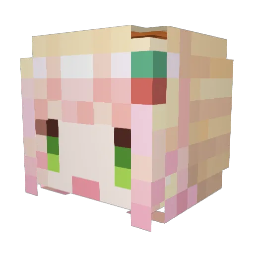 noO_noX Minecraft avatar head, 3D render