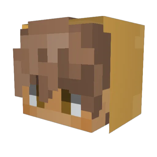 noStonapse Minecraft avatar head, 3D render