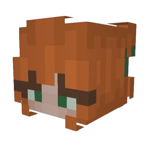 noTalent8184 Minecraft avatar head, 3D render