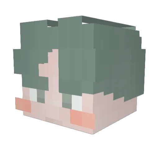 no__bot Minecraft avatar head, 3D render