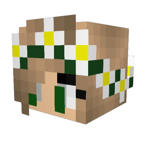 no_blink Minecraft avatar head, 3D render