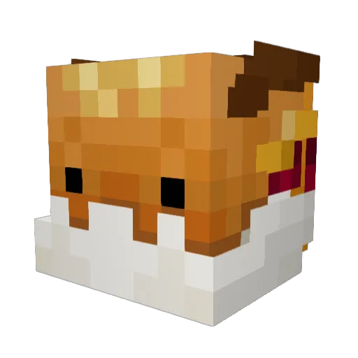 no_downtime Minecraft avatar head, 3D render