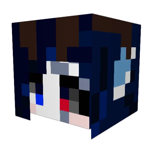 noa_03030 Minecraft avatar head, 3D render