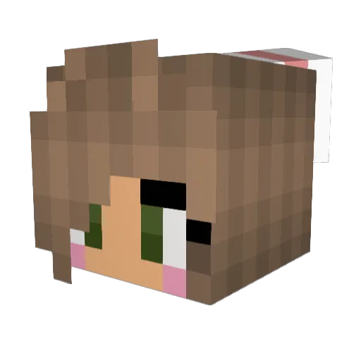 noaboboa Minecraft avatar head, 3D render
