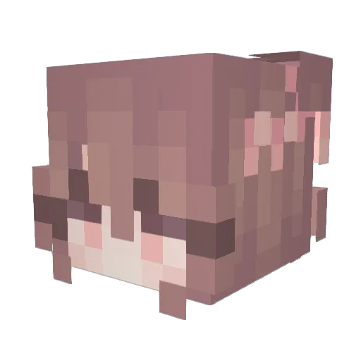 noadaisie Minecraft avatar head, 3D render