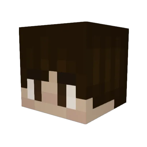 noah24884 Minecraft avatar head, 3D render