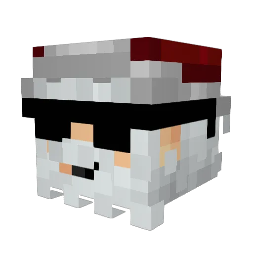 noah501 Minecraft avatar head, 3D render