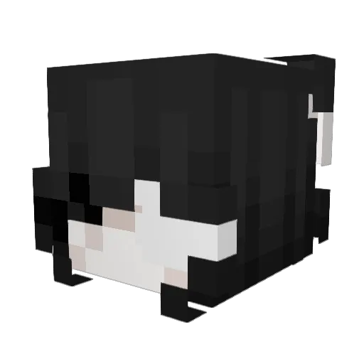 noahRAWRRRRRRRRR Minecraft avatar head, 3D render
