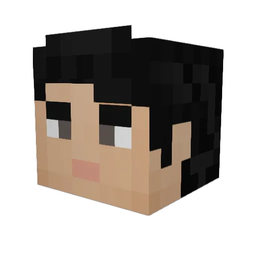 noah_fin Minecraft avatar head, 3D render