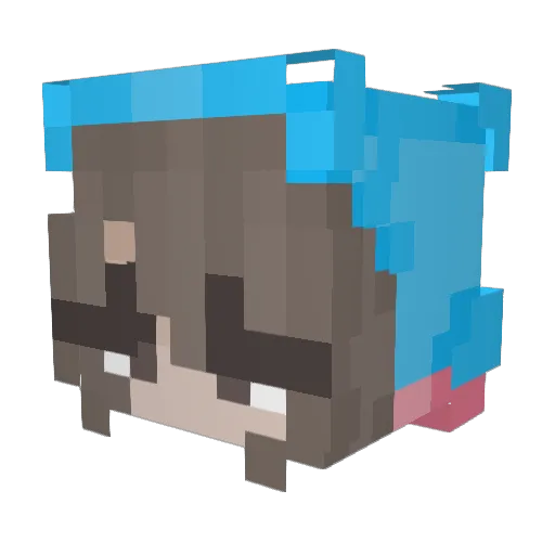 noah_liam Minecraft avatar head, 3D render