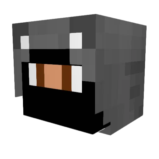 noah_the_cat Minecraft avatar head, 3D render