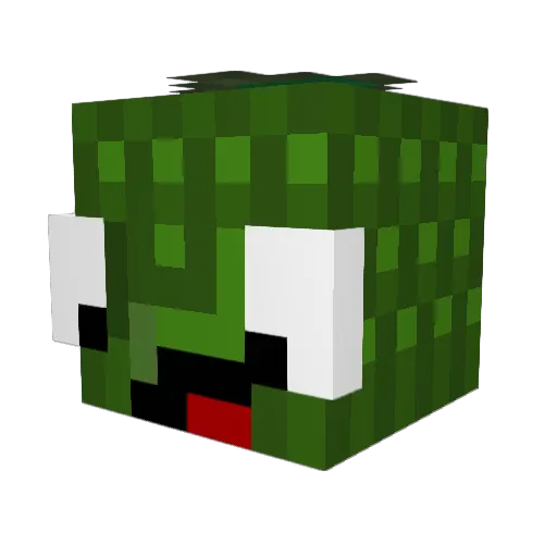 noahalexander05 Minecraft avatar head, 3D render