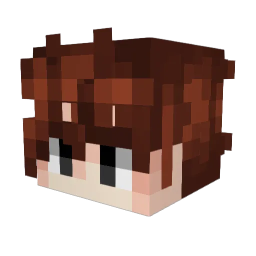 noahb0ah Minecraft avatar head, 3D render