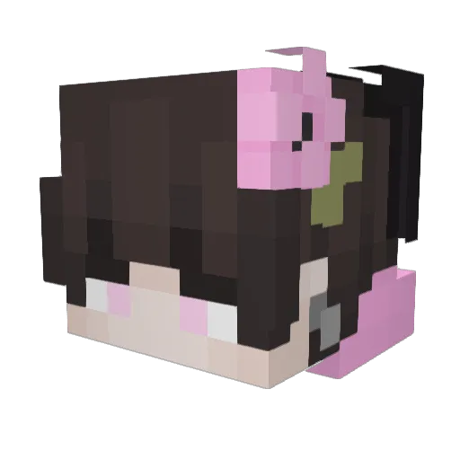 noahbunny Minecraft avatar head, 3D render