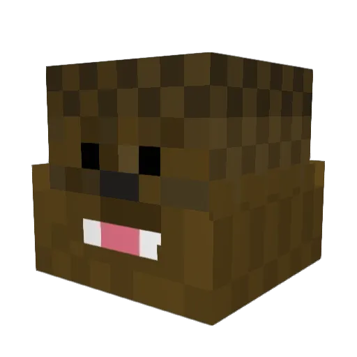 noahcraft555 Minecraft avatar head, 3D render