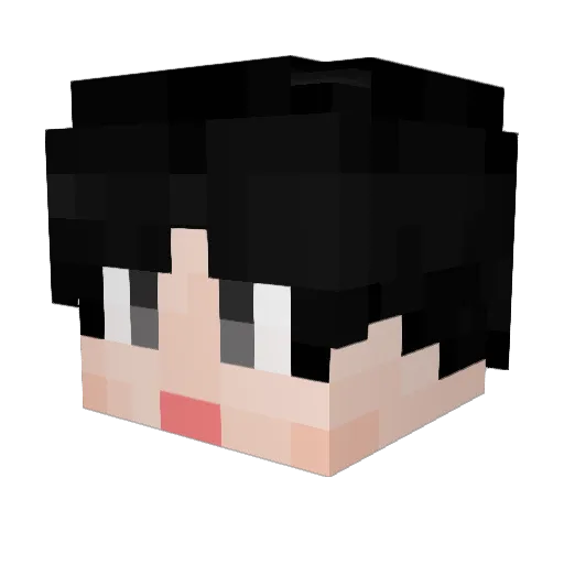 noahed1102 Minecraft avatar head, 3D render
