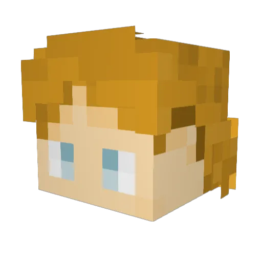 noahfromthe Minecraft avatar head, 3D render