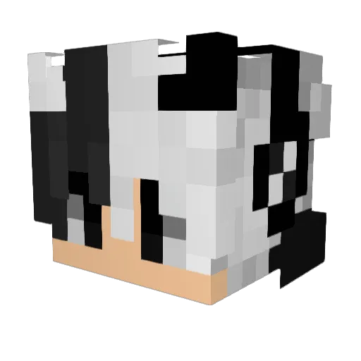 noahhhoa Minecraft avatar head, 3D render