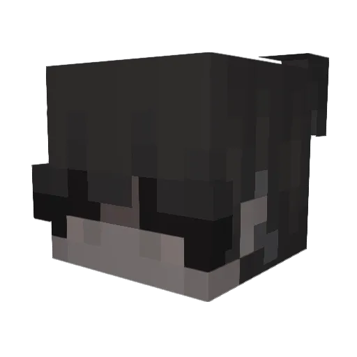 noahisdrowning Minecraft avatar head, 3D render