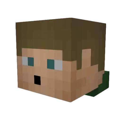 noahmaas123 Minecraft avatar head, 3D render