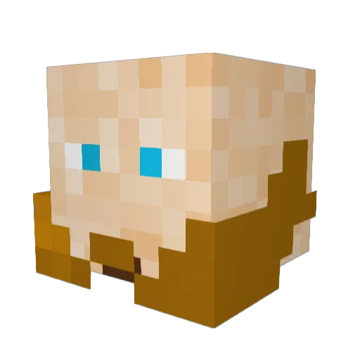 noahn06 Minecraft avatar head, 3D render