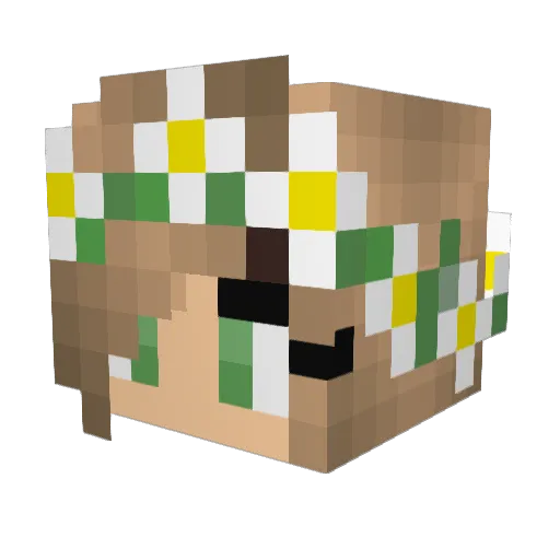 noahouli02 Minecraft avatar head, 3D render
