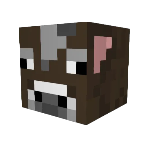 noahp409 Minecraft avatar head, 3D render