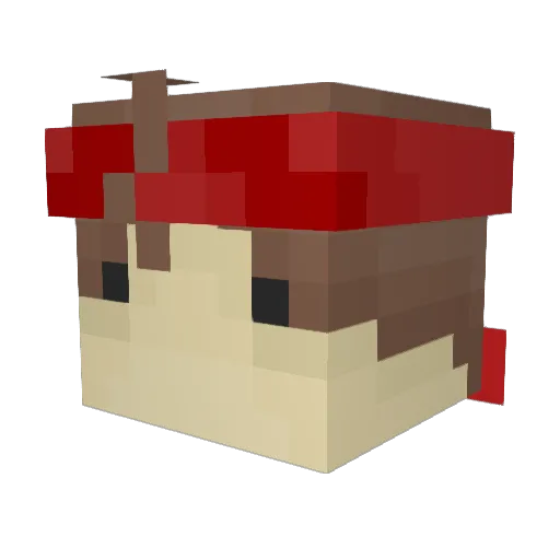 noahplwg1 Minecraft avatar head, 3D render