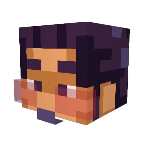 noahs916 Minecraft avatar head, 3D render
