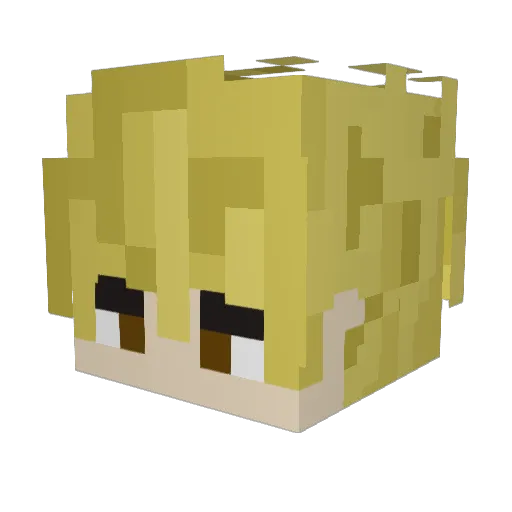 noahsarrse Minecraft avatar head, 3D render