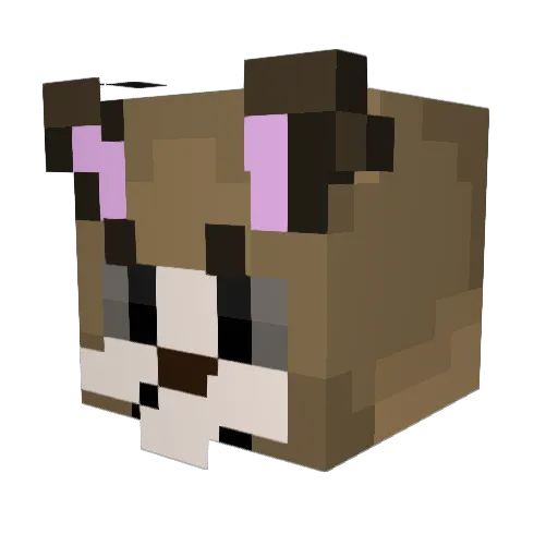 noahyoudint Minecraft avatar head, 3D render