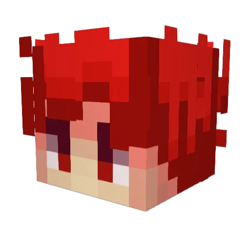 noamiko2008 Minecraft avatar head, 3D render
