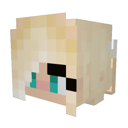 noamts Minecraft avatar head, 3D render