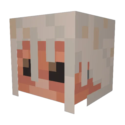 nobael Minecraft avatar head, 3D render