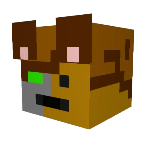 nobboy123 Minecraft avatar head, 3D render