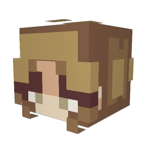 nobe0_0 Minecraft avatar head, 3D render