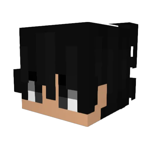 nobi1ls Minecraft avatar head, 3D render