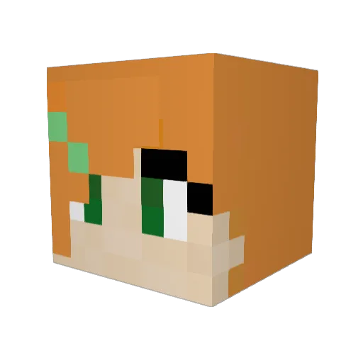 noble_justice Minecraft avatar head, 3D render