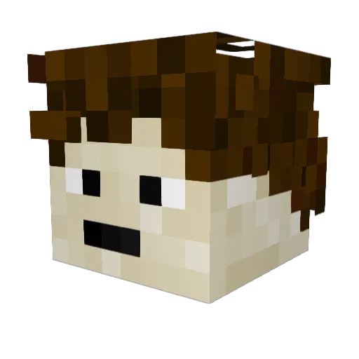 noblefox66 Minecraft avatar head, 3D render
